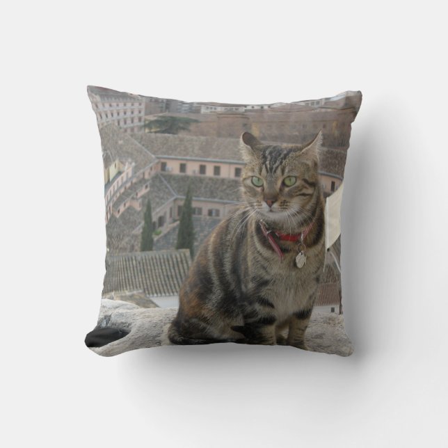 Kattskydd 41 cm x 41 cm kudde (Framsida)