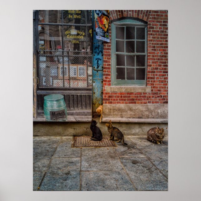 Kattspel Poster (Framsidan)