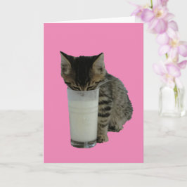 Kattstål Mjölk från ett glas Kort