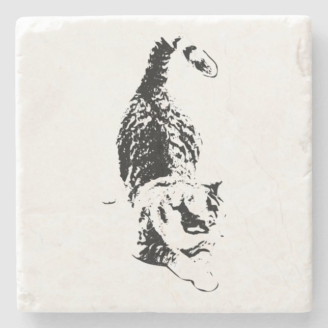 Kattsteg genom fallskuggor stenunderlägg (Framsidan)