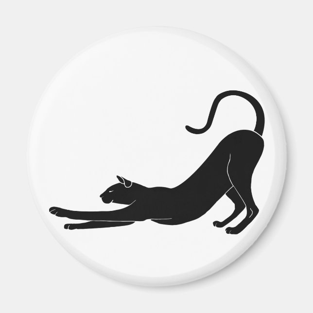 Kattstreck Magnet (Framsidan)