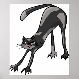 Kattstreck, Poster