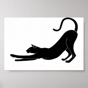 Kattstreck Poster