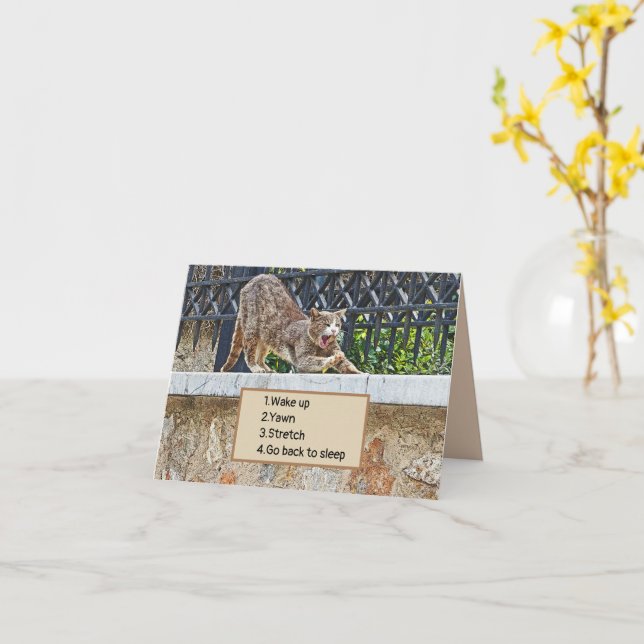 KATTSTRETCHNING OCH YAWNING/MORNING ROUTINE KORT (Gul blomma)