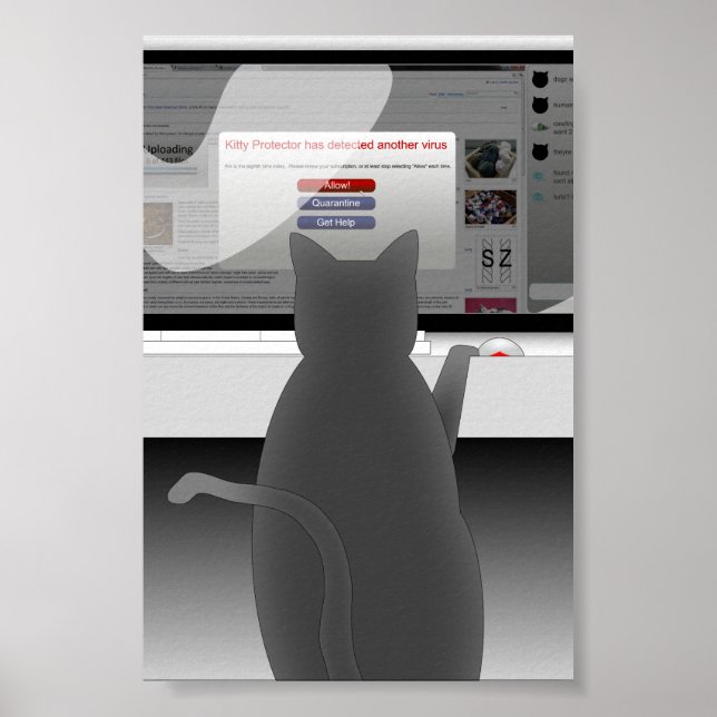 kattsurfing-2011 poster (Framsidan)