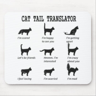 KATTSVANÖVERSÄTTARE MUSMATTA