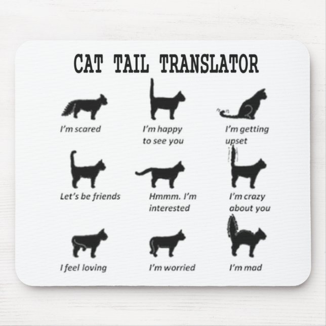 KATTSVANÖVERSÄTTARE MUSMATTA (Framsidan)