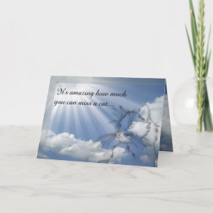 Kattsympati - förlåt din förlust kort