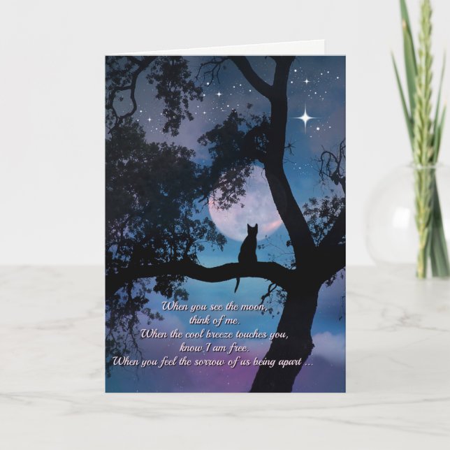 Kattsympati, förlust av kattkort kort (Framsida)