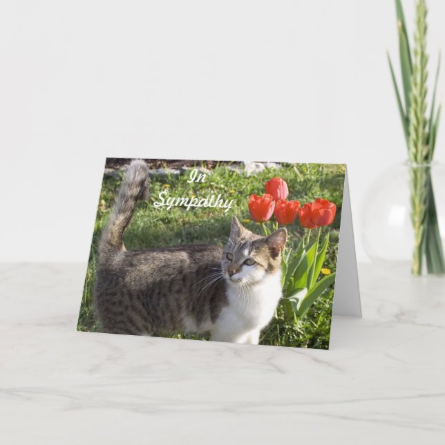 Kattsympati med röda tulpaner kort (Framsida)
