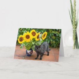 Kattsympati med solblommor kort