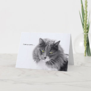 Kattsympati - minimalistisk kort