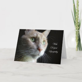 Kattsympatikort Kort