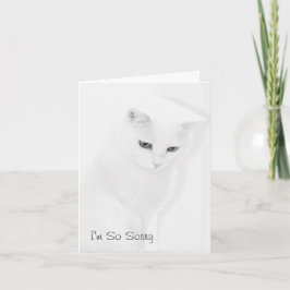 Kattsympatikort Kort
