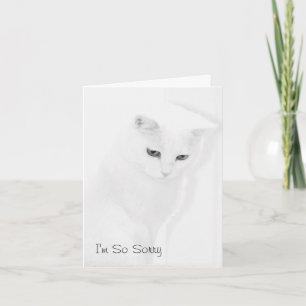 Kattsympatikort Kort