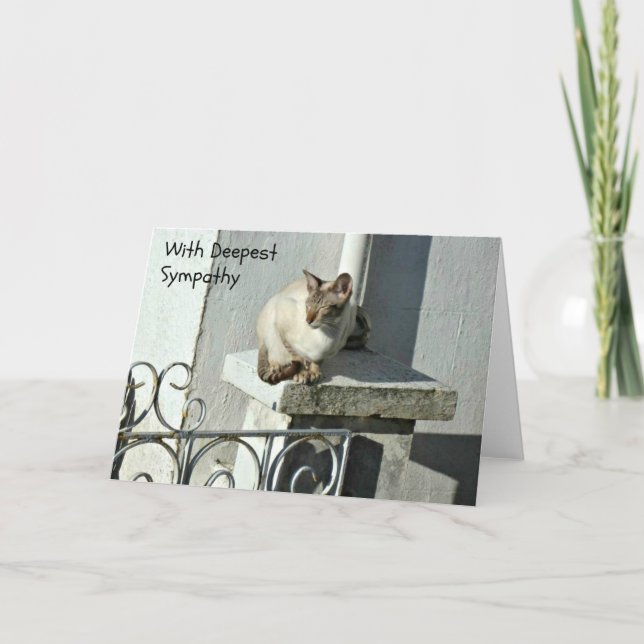 Kattsympatikort med Grått och vit katt Kort (Framsida)