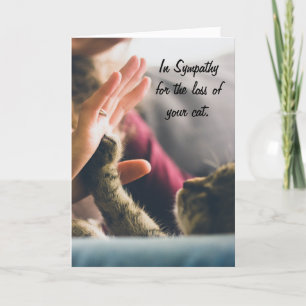 KatttassKick-fem Kort