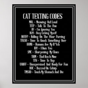 Katttexturkoder Humor Poster