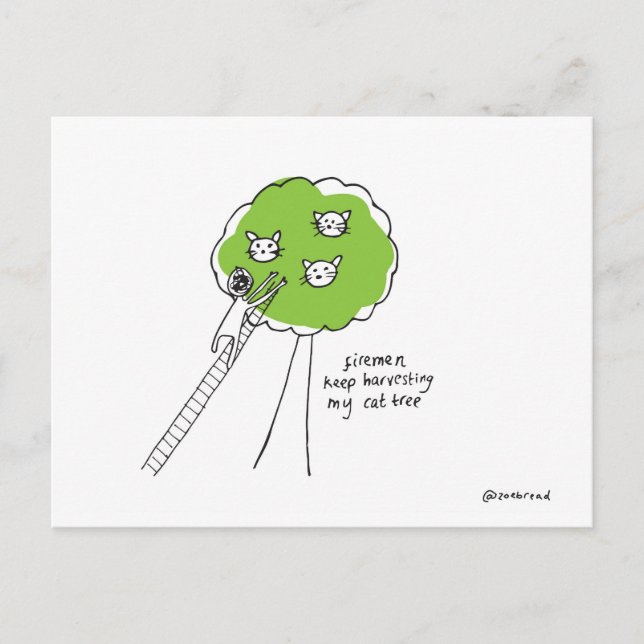 kattträd vykort (Framsida)