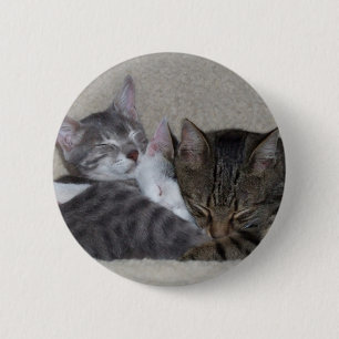 KattTrio knäppas Knapp
