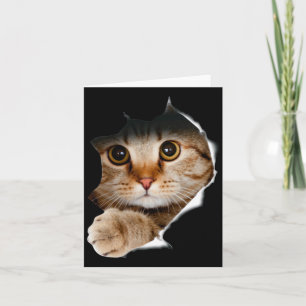 Katttröja Roliga Kattälskare Gåvor För Män  Kort