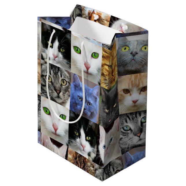 Katttryckta Papperspresentförpackningar (Baksidan Vinklad)