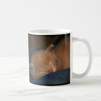 KATTUNGAR ÄR ÄNGLAR MED WHISKERS KAFFEMUGG