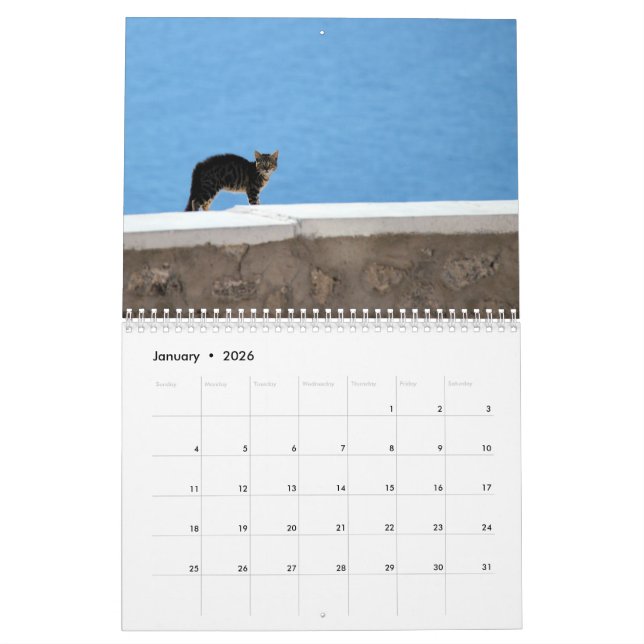 Kattungar av Grekland Kalender (Jan 2026)