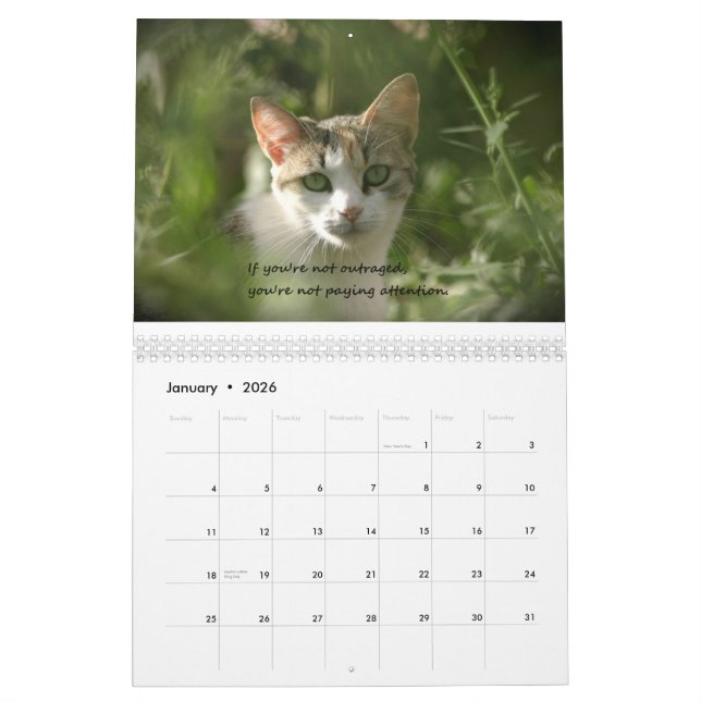 Kattungar av samvete kalender (Jan 2026)