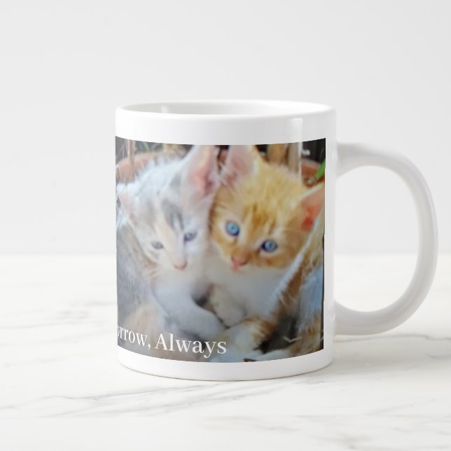 Kattungar Foto Citat Jumbo Mugg (Höger)