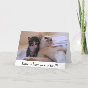 Kattungar har mammor för!!! kort