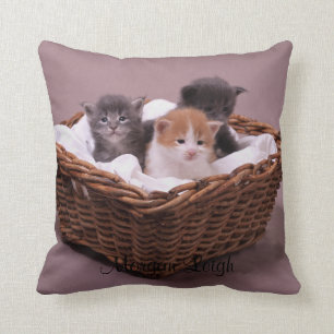 Kattungar i en basket kudde
