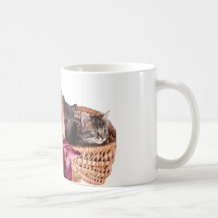 kattungar i en vide- basket kaffemugg