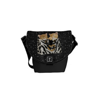 Kattungar i messenger bag för