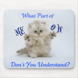 Kattungar jamar inställning musmatta