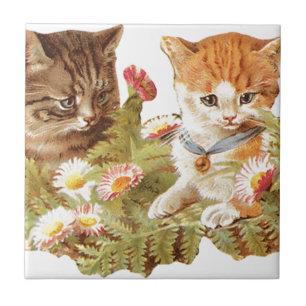 Kattungar Kakelplatta