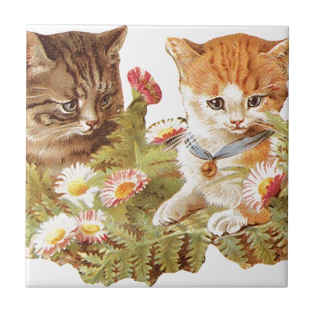 Kattungar Kakelplatta (Framsidan)