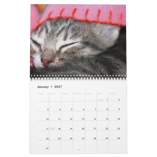 Kattungar kattungar! kalender (Jan 2027)