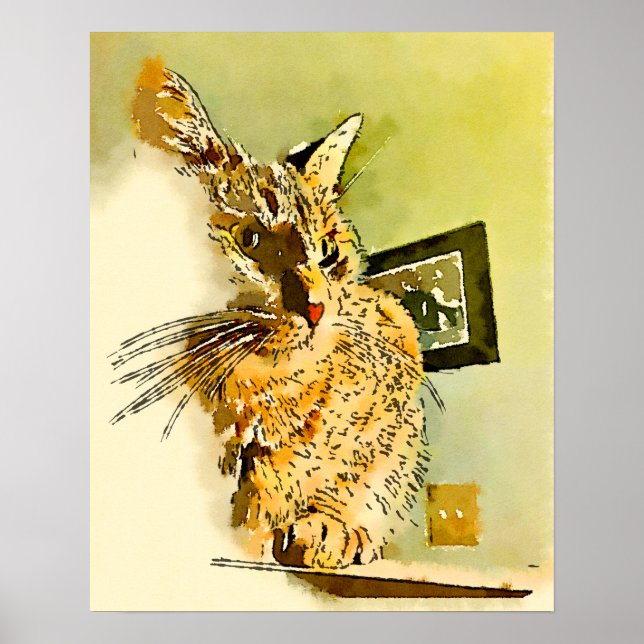 Kattungar Morotsnäsa Akvarell Poster (Framsidan)
