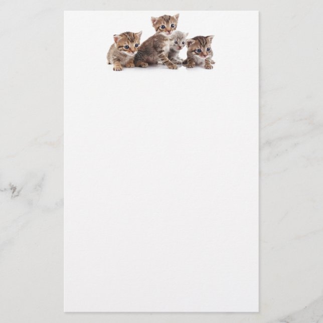 Kattungar och mer kattungar brevpapper (Framsida)