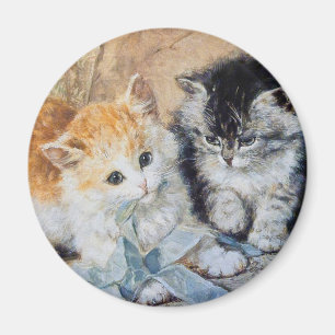 Kattungar på lek magnet