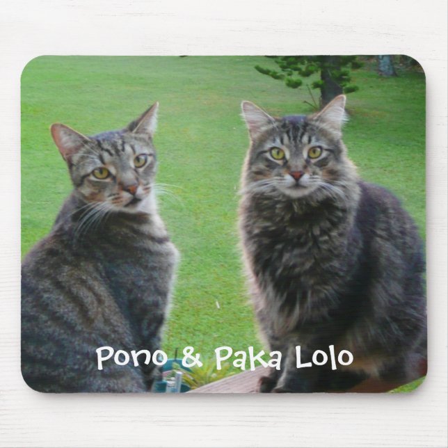 Kattungar Pono & Paka Lolo Musmatta (Framsidan)