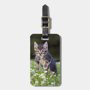 Kattungar som går genom Klöver Bagagebricka