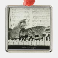 Kattungar som leker pianot
