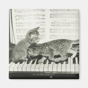 Kattungar som leker pianot magnet