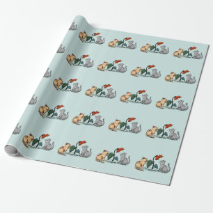 Kattungar Sommar Glädje Blomma Spel Presentpapper