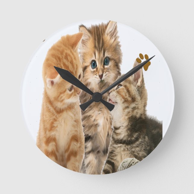 kattungar tar tid på rund klocka (Framsida)
