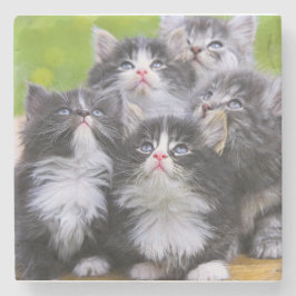 Kattungar Underlägg Sten