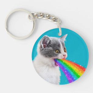 Kattungar upp regnbåge