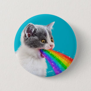 Kattungar upp regnbåge knapp